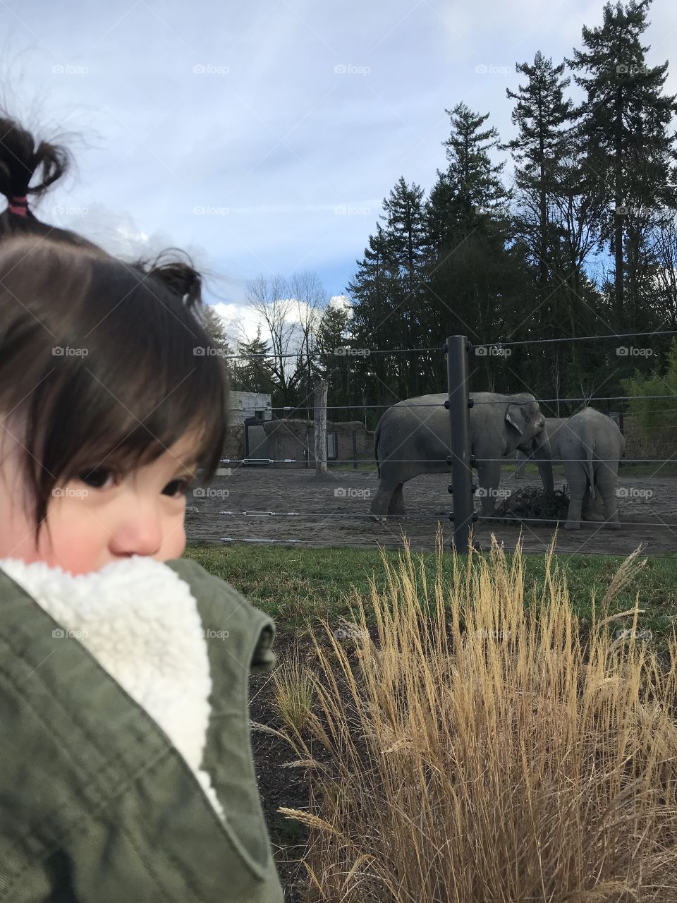 Photo of my daughter at the zoo. First time of her seeing elephants and she was a little confused haha. Love taking this little one and her absorbing everything this world has to offer. 