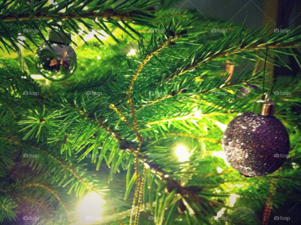 Christmas, Pine, Tree, Ball, Winter