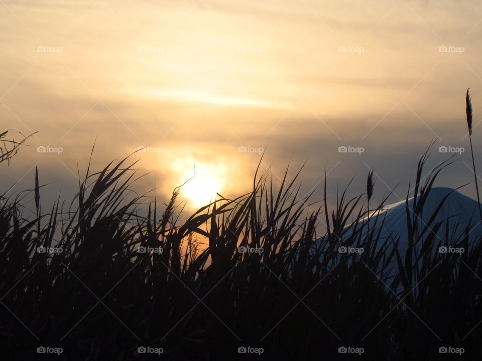 Sky, silhouette, field 