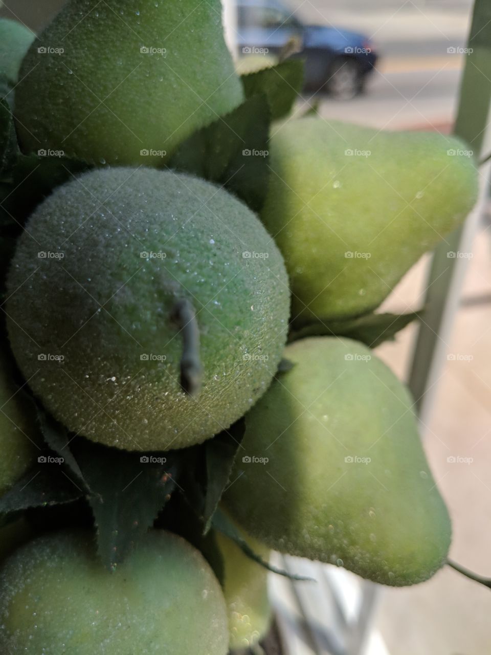 group of green pears with texture