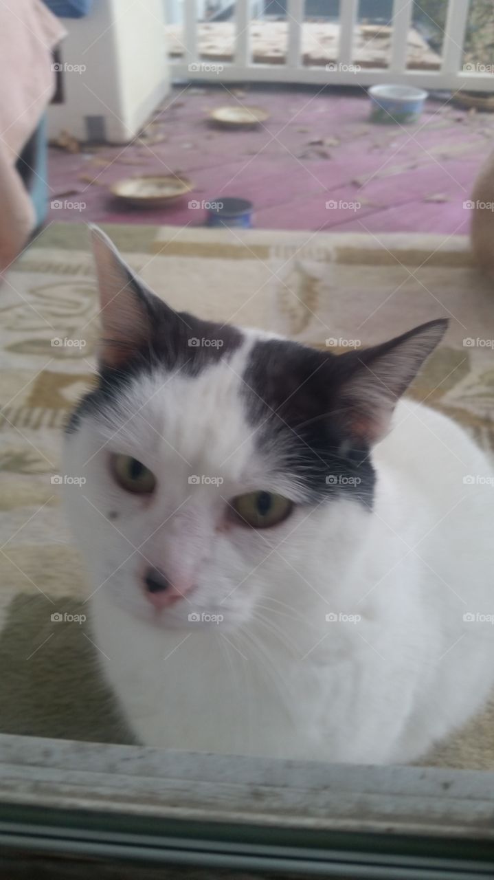 Those beautiful eyes