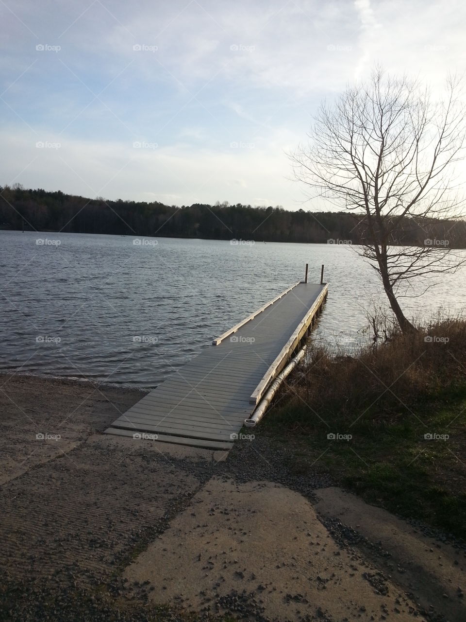 beautiful water setting. nature setting