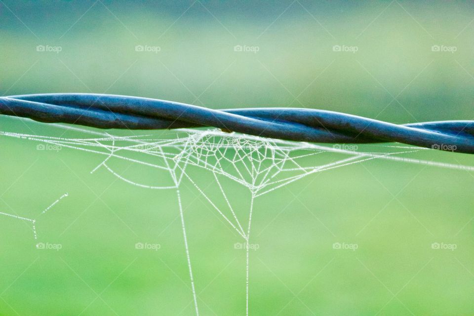 Tiny spider web covered with dew on barbed wire