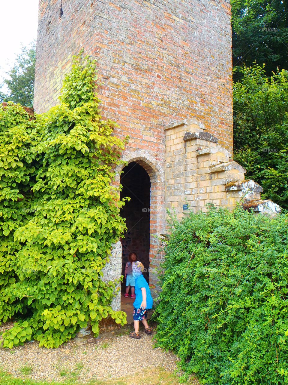 Overgrowth in Oxburgh castle in Norfolk UK