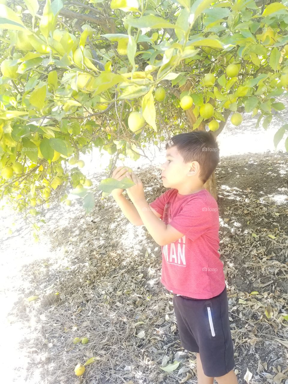 Child, Nature, Summer, Outdoors, Park