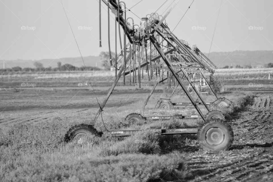 irrigation system in a field