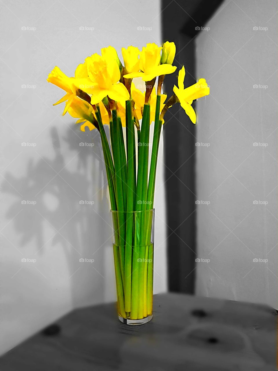neon daffodils