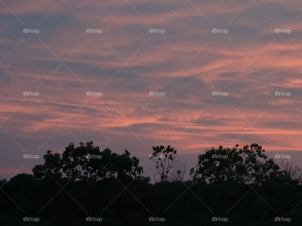 Sunset, Dawn, Sun, Tree, Sky