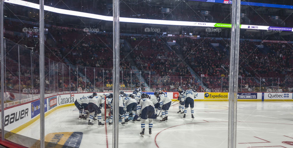 Competition, Stadium, Ice Hockey, People, Athlete