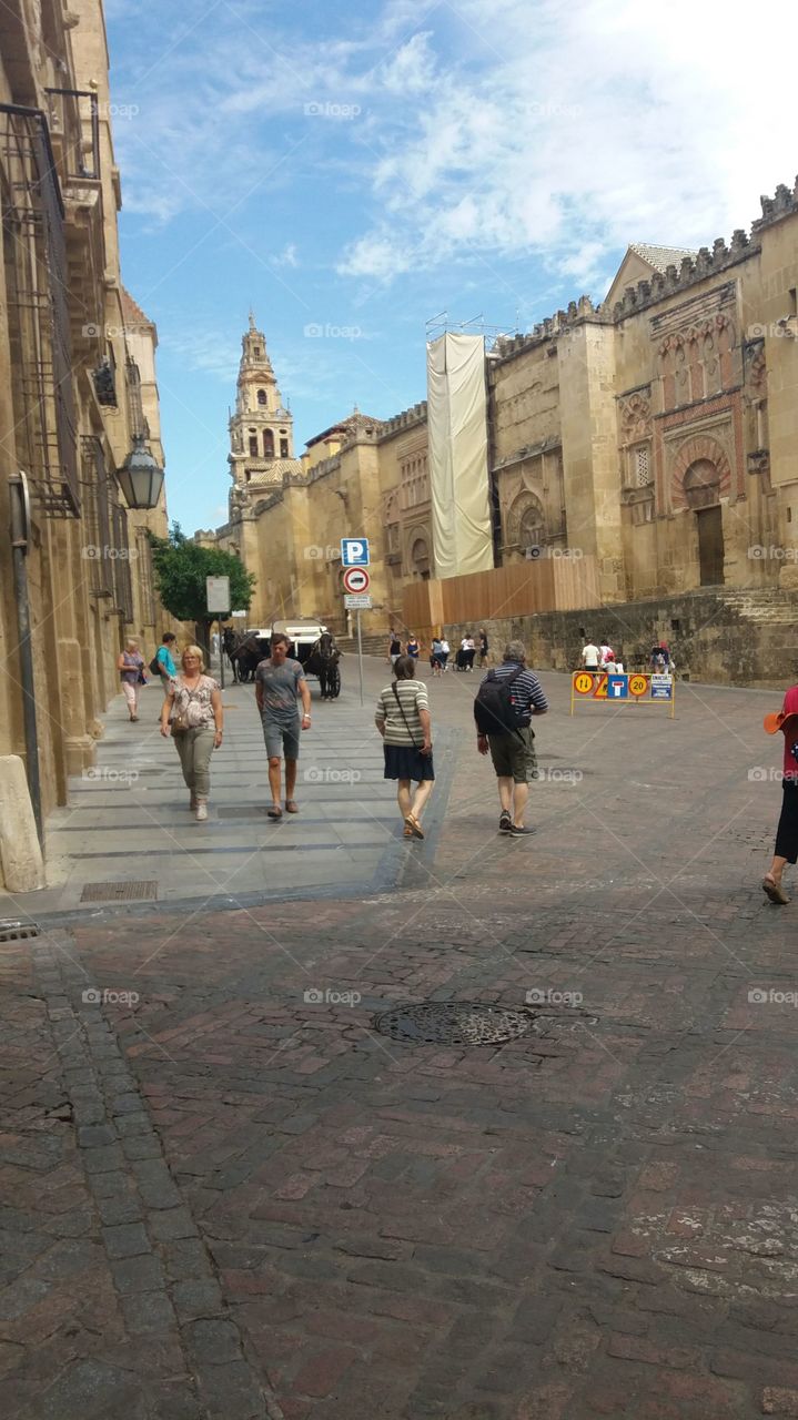 mezquita catedral