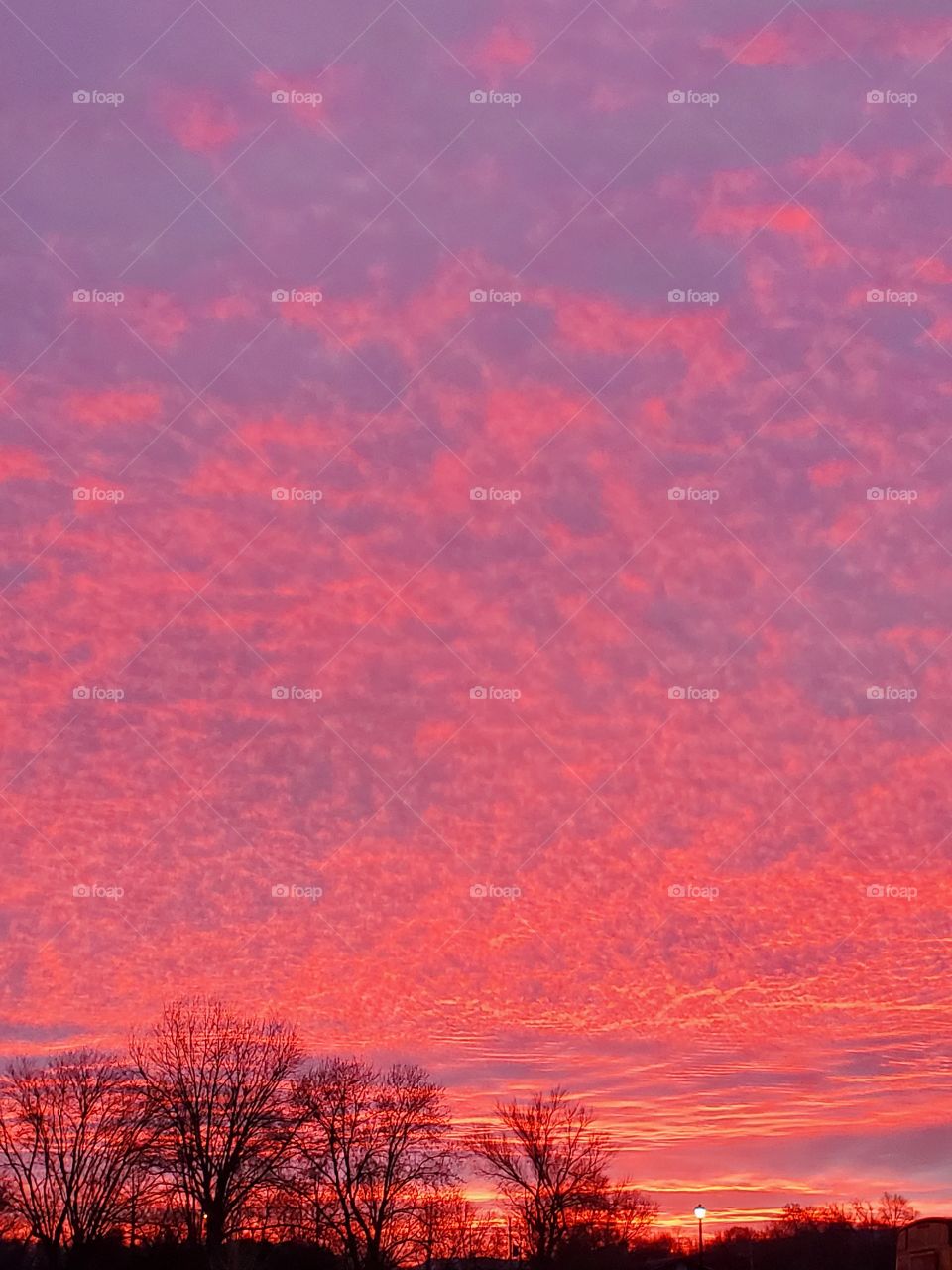 pink sunrise