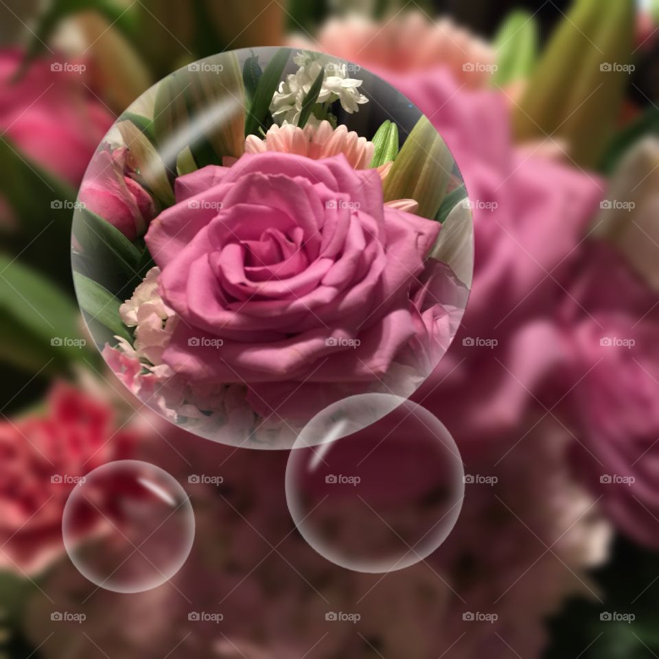 Pink Rise in a Bubble