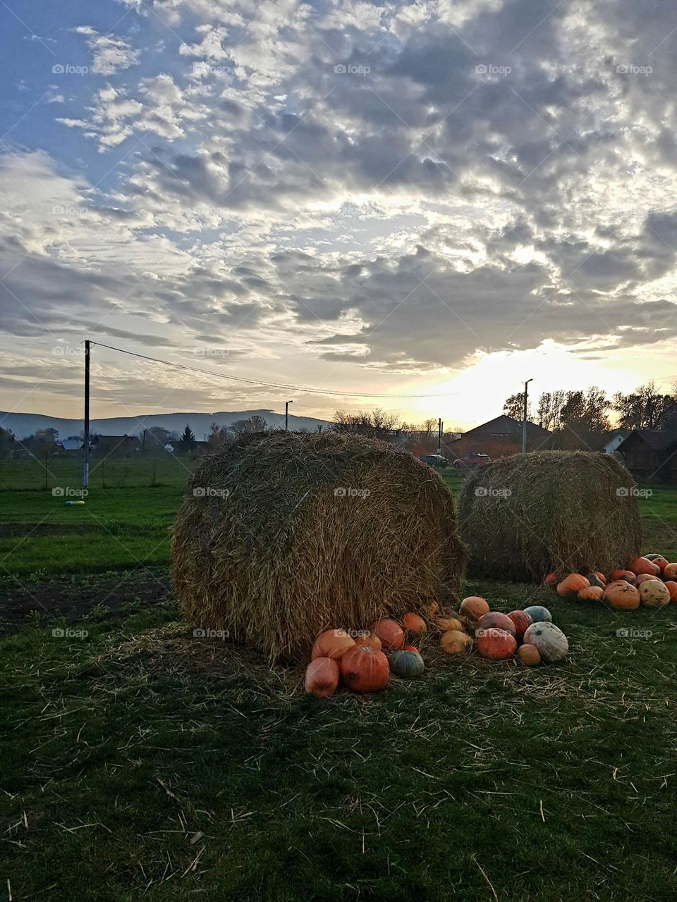 Фермерский вечерний пейзаж.