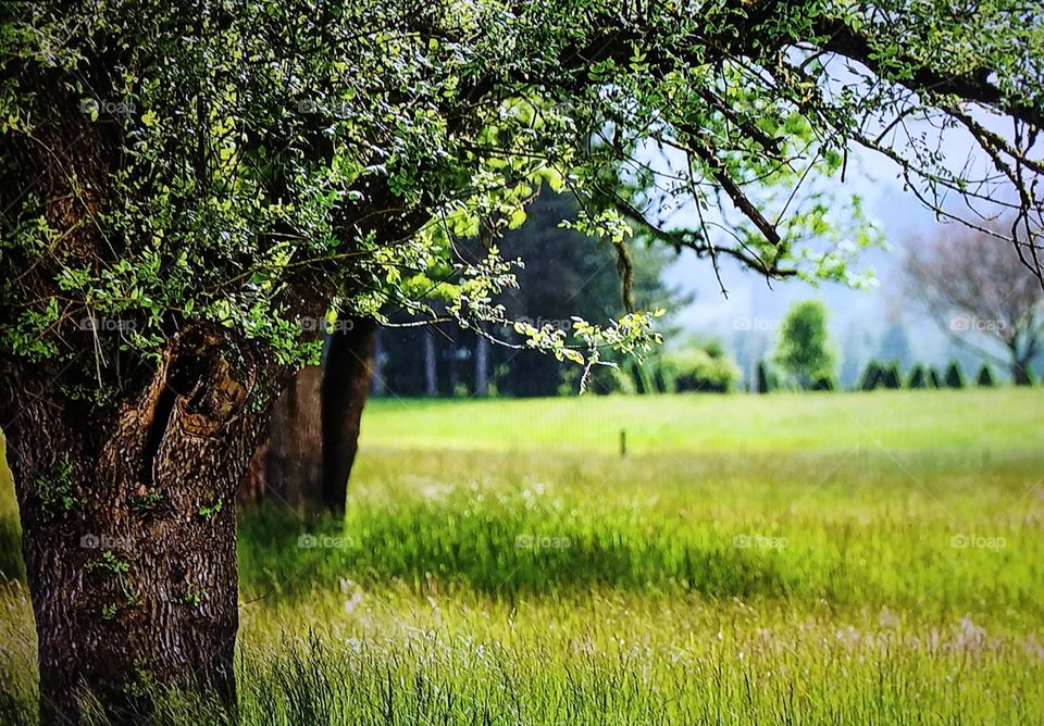 Autumn rain reflections