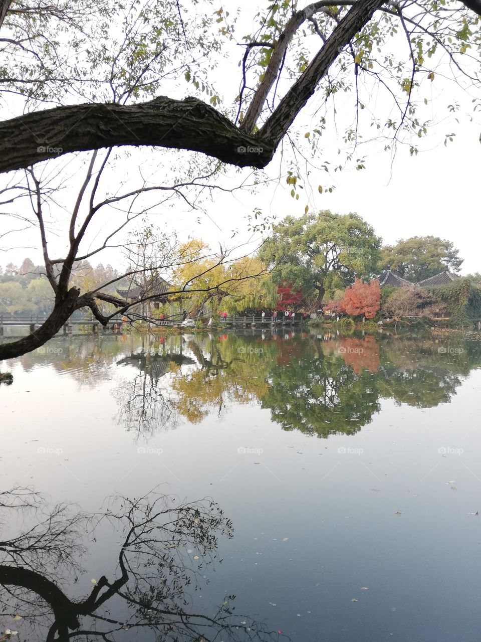 Beauty of Lake