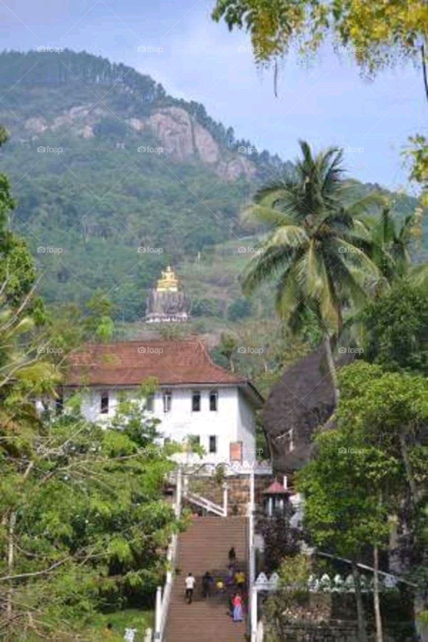 temple of srilanka