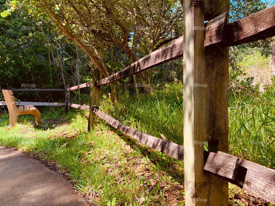 Countryside with wooden fence in a warm and tropical environment with sun going down with lights and shadows looking at a bench side facing the vegetation including grass, trees, bushes and plants.