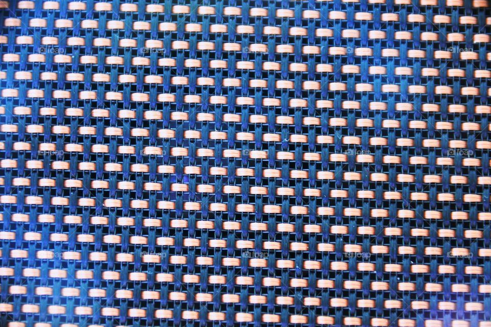 Fishman base in macro picture