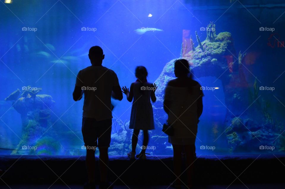 family watching fish at the Wroclaw aquarium