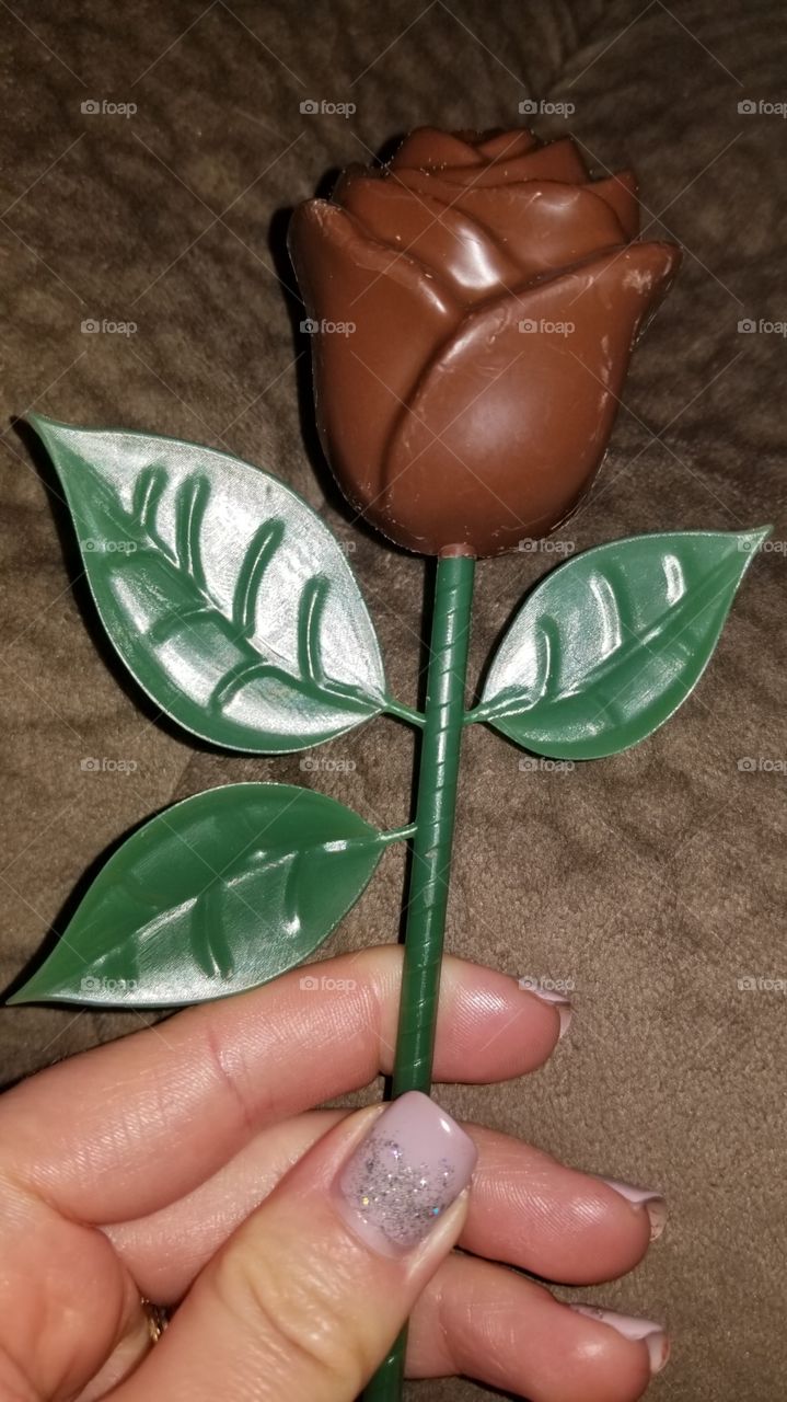 No Person, Food, One, Chocolate, Still Life