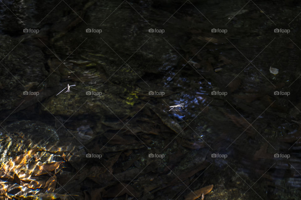 Walking through the mountains, found a river