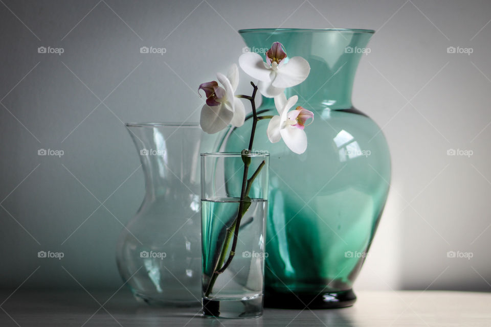 Flower vases and orchids