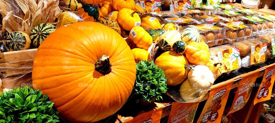 pumpkin is a cultivar of winter squash that is round with smooth, slightly ribbed skin, and is most often deep yellow to orange in coloration. The thick shell contains the seeds and pulp