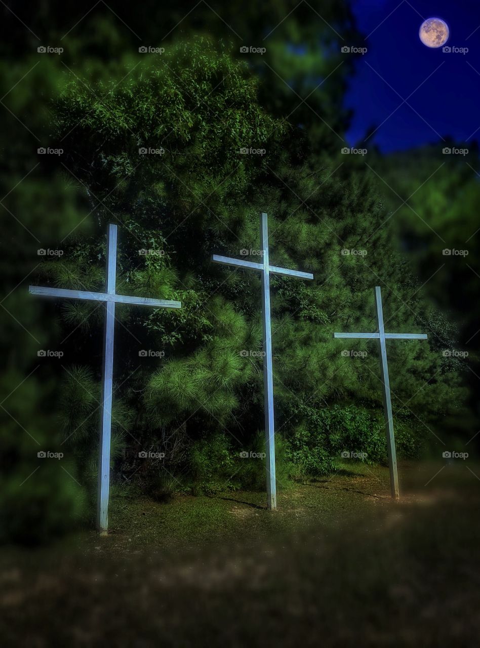 Crosses