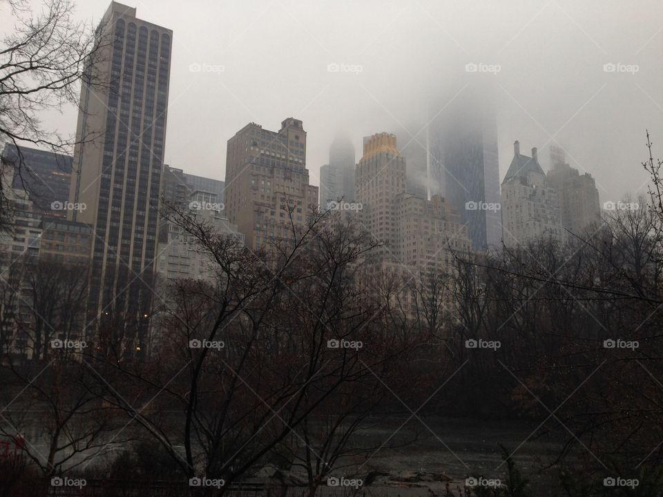 City, No Person, Fog, Winter, Architecture