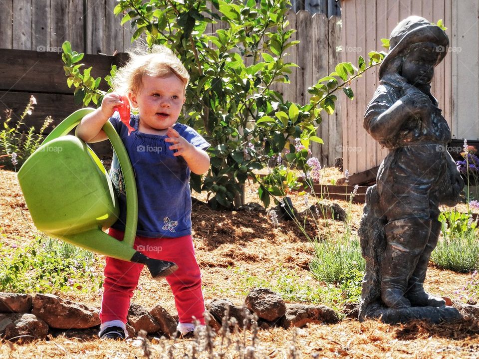 Toddler Girl Carrying Watering Pail In The Garden

