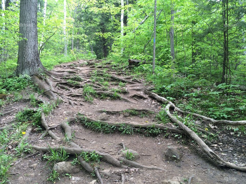 Stairway to heaven. Natural stairs