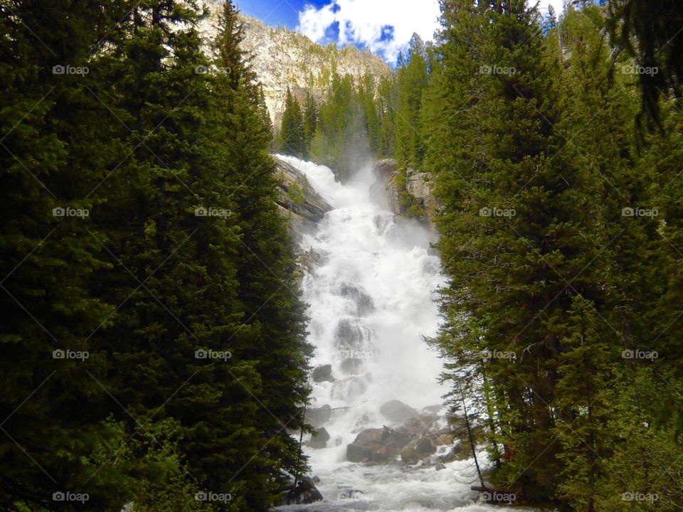 Grand Teton national Park, Wyoming