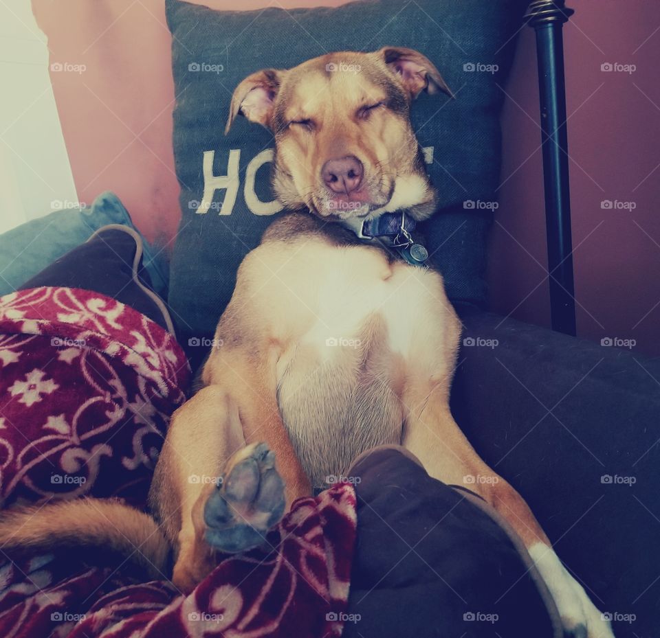 Paris is just too funny. Personality is her middle name.