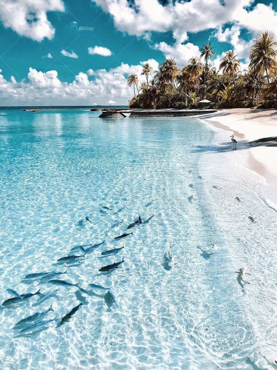 Maldives