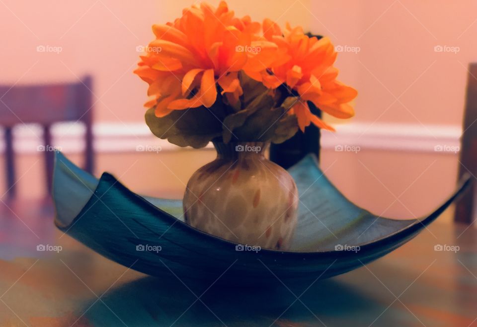 Vivid orange flowers 