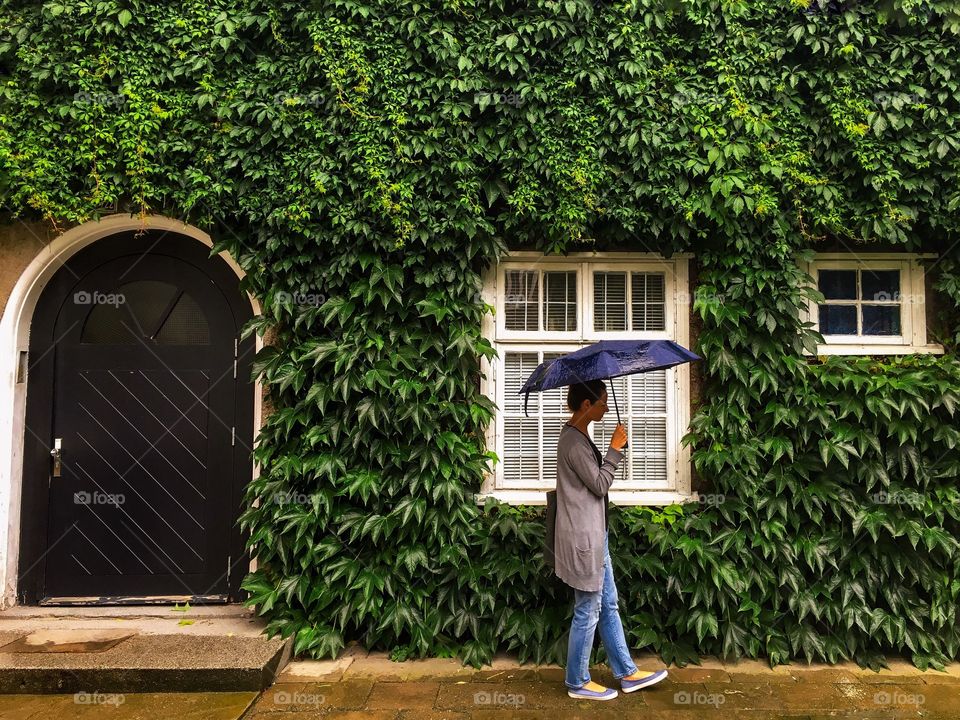 Ivy, House, No Person, Architecture, Garden