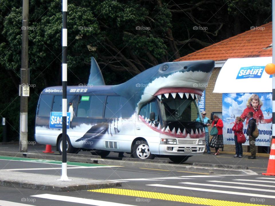 Aquarium  bus