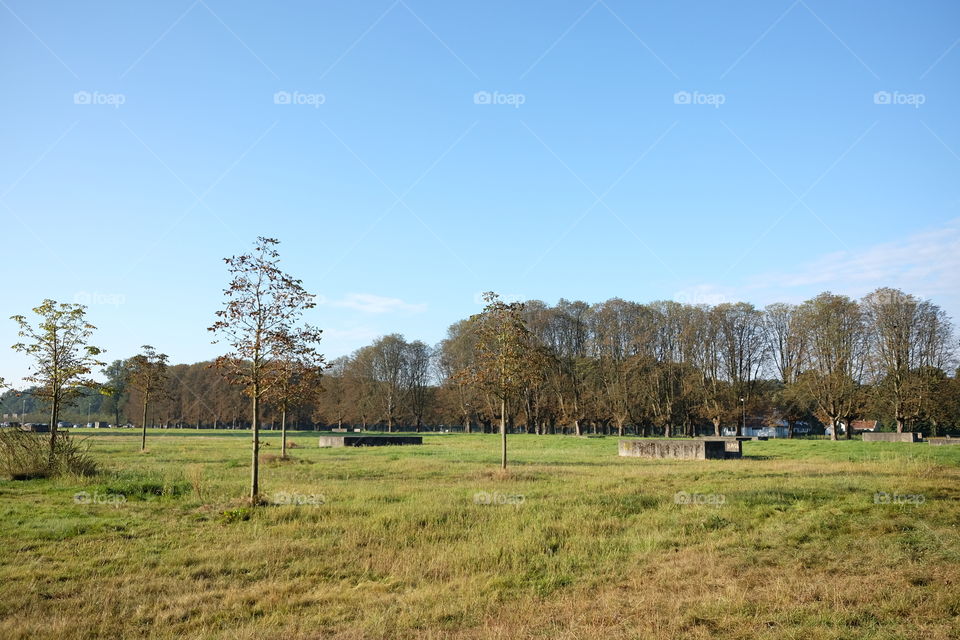 Field in Nachtegalepark in Antwerp