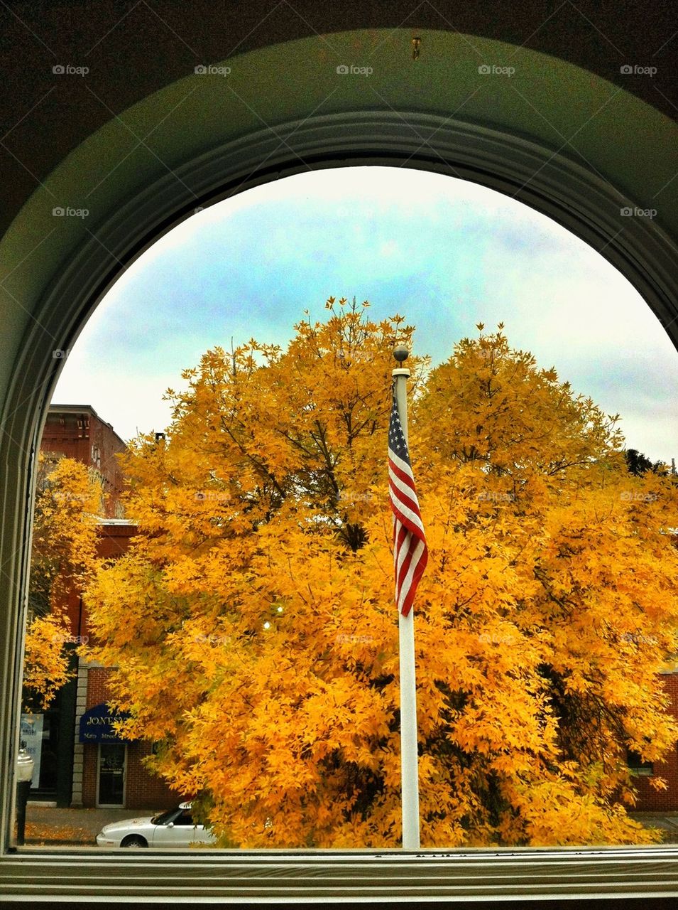 View from the library