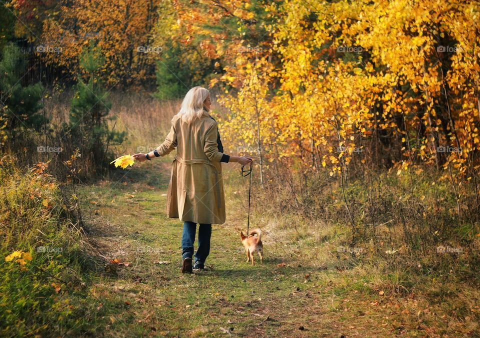 A woman walks with a small dog in the autumn forest