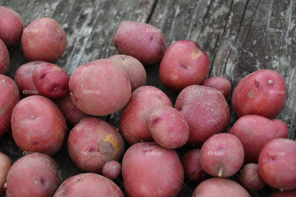 homegrown potatoes