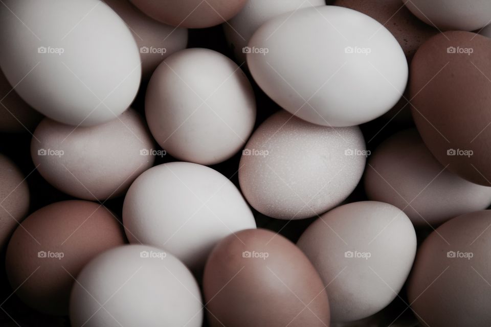 Egg