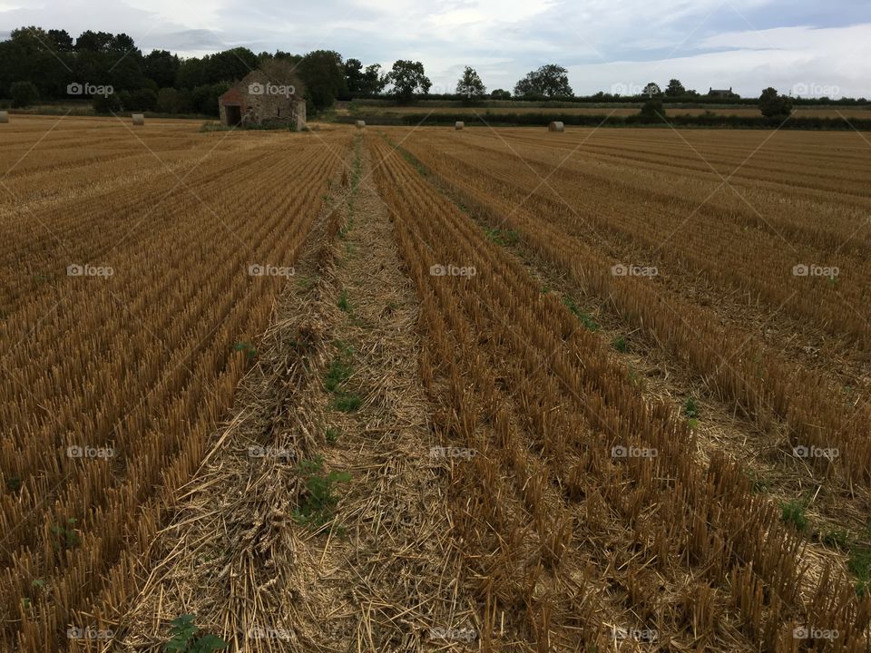 English countryside 