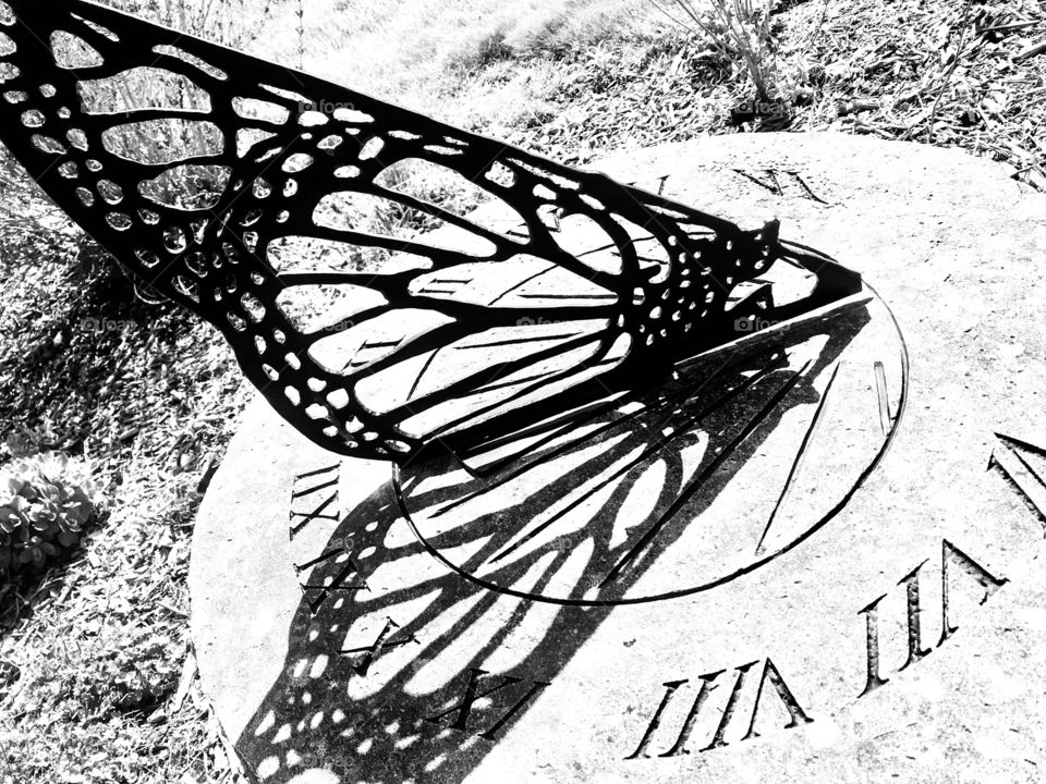 Fun photos taken as walking through nature sites seeing what all nature has to offer! 