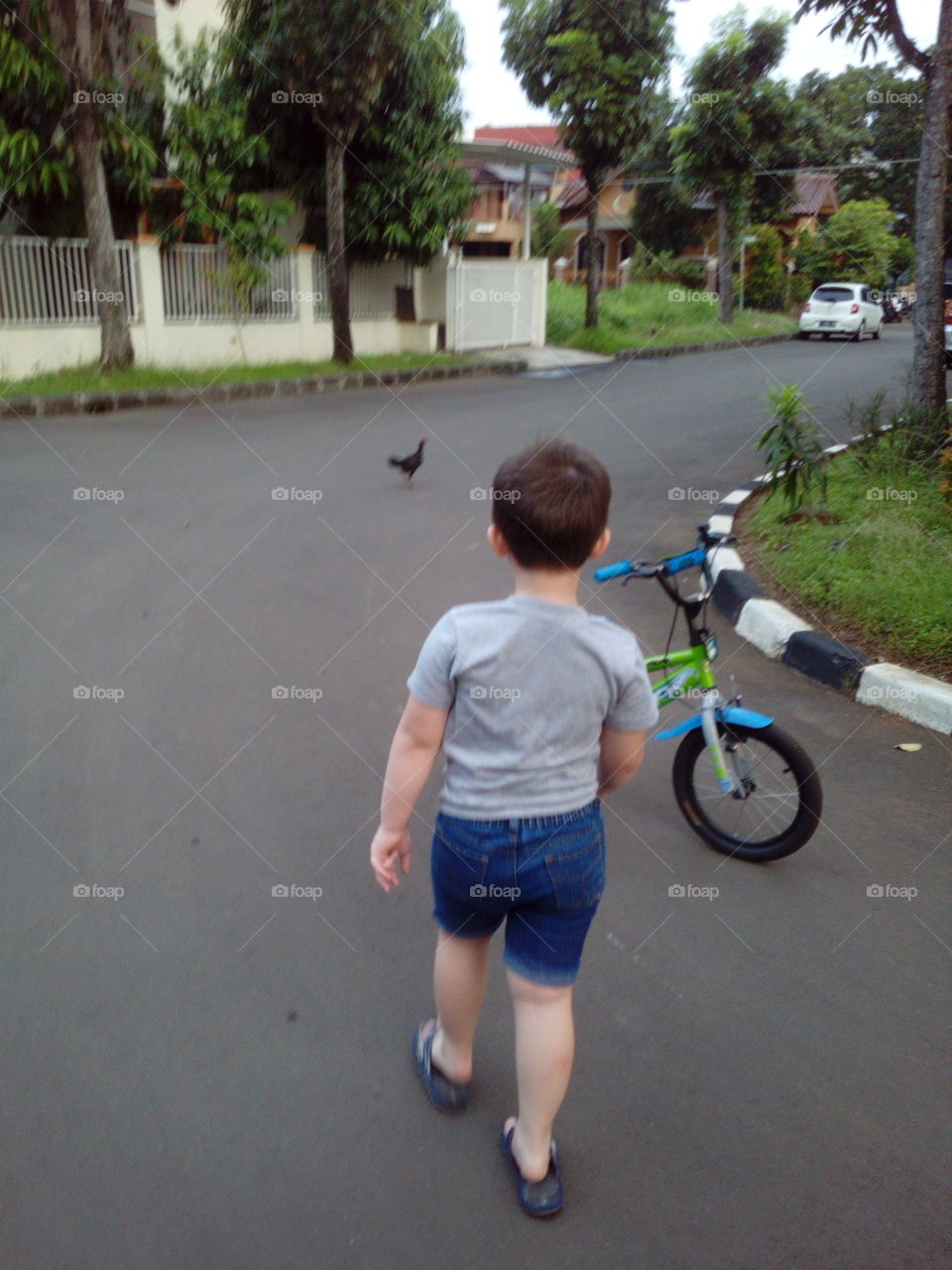 Boy chasing a chicken