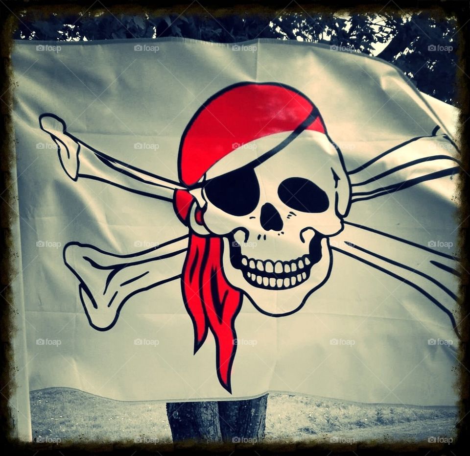 The Jolly Roger