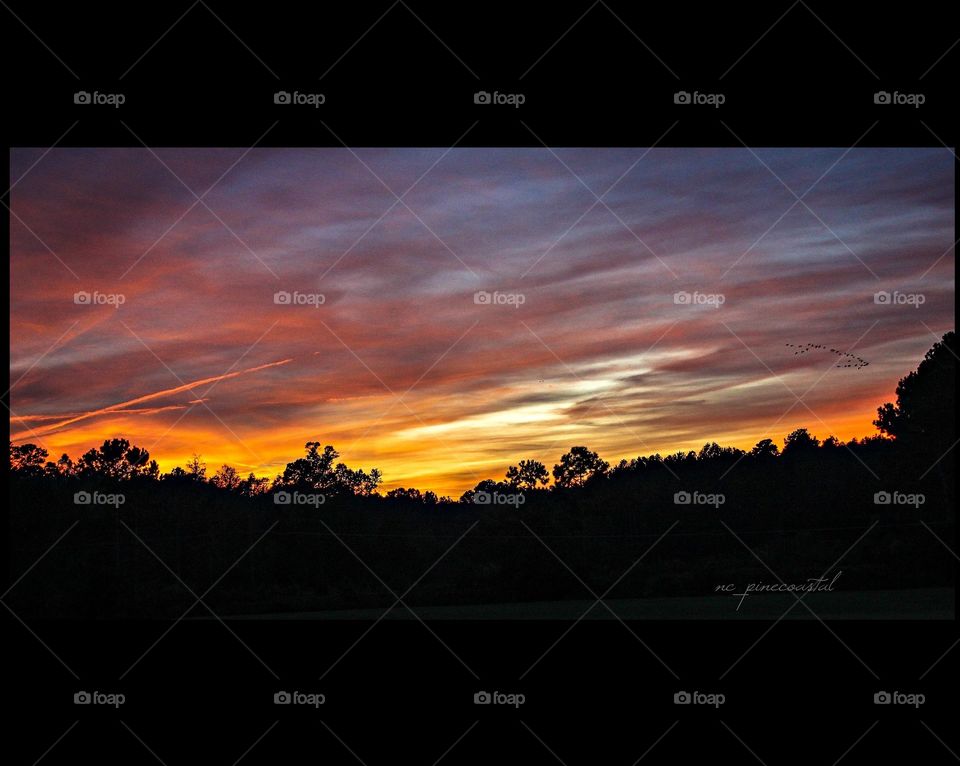 The view from my window