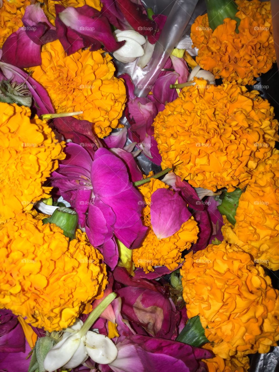 Flowers for puja
