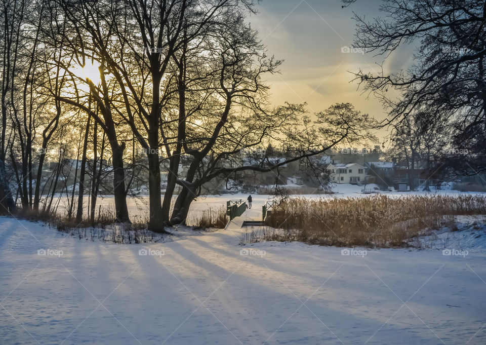 Cold winter day by the lake 