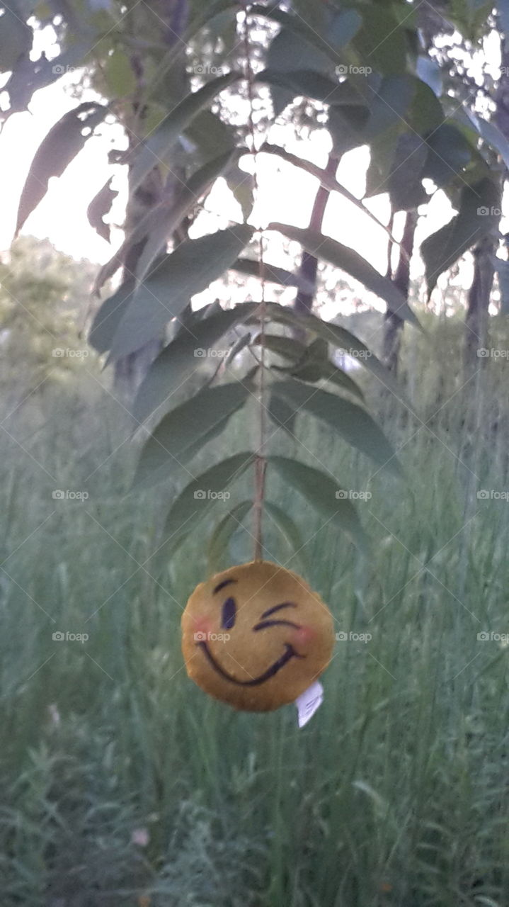 Smiley face at park